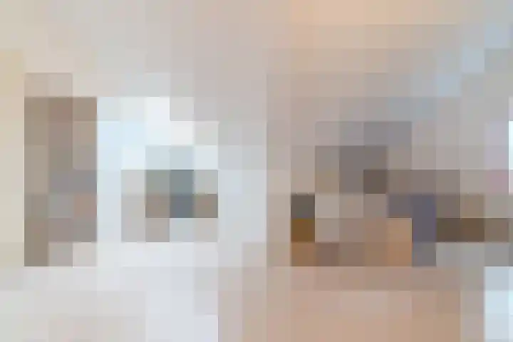 Renovalaan 17 Delfgauw thumbnail 39