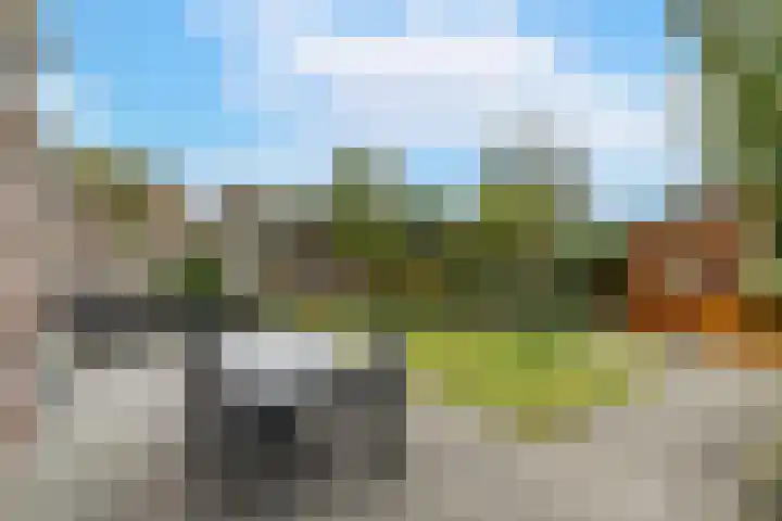 Renovalaan 17 Delfgauw thumbnail 4