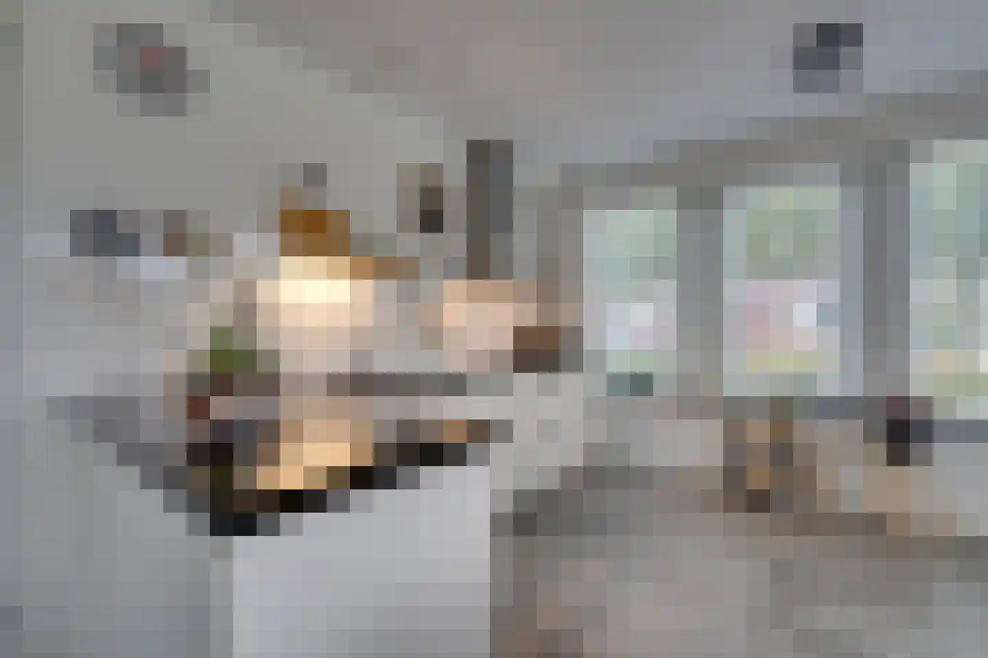 Rens Prinshof 18 Heerhugowaard thumbnail 21