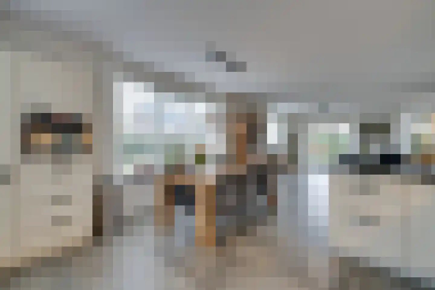 Rens Prinshof 18 Heerhugowaard thumbnail 23