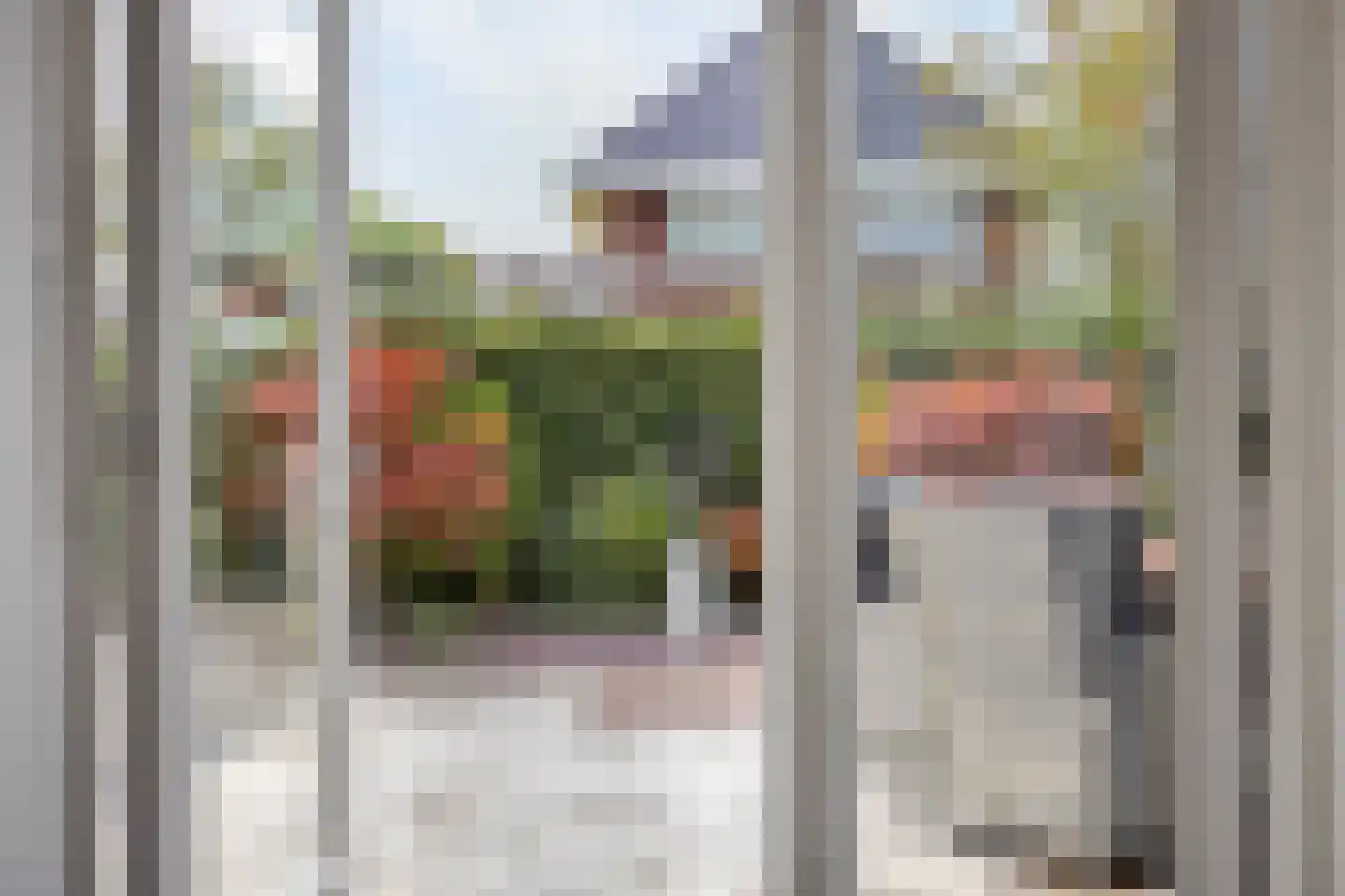 Rens Prinshof 18 Heerhugowaard thumbnail 24