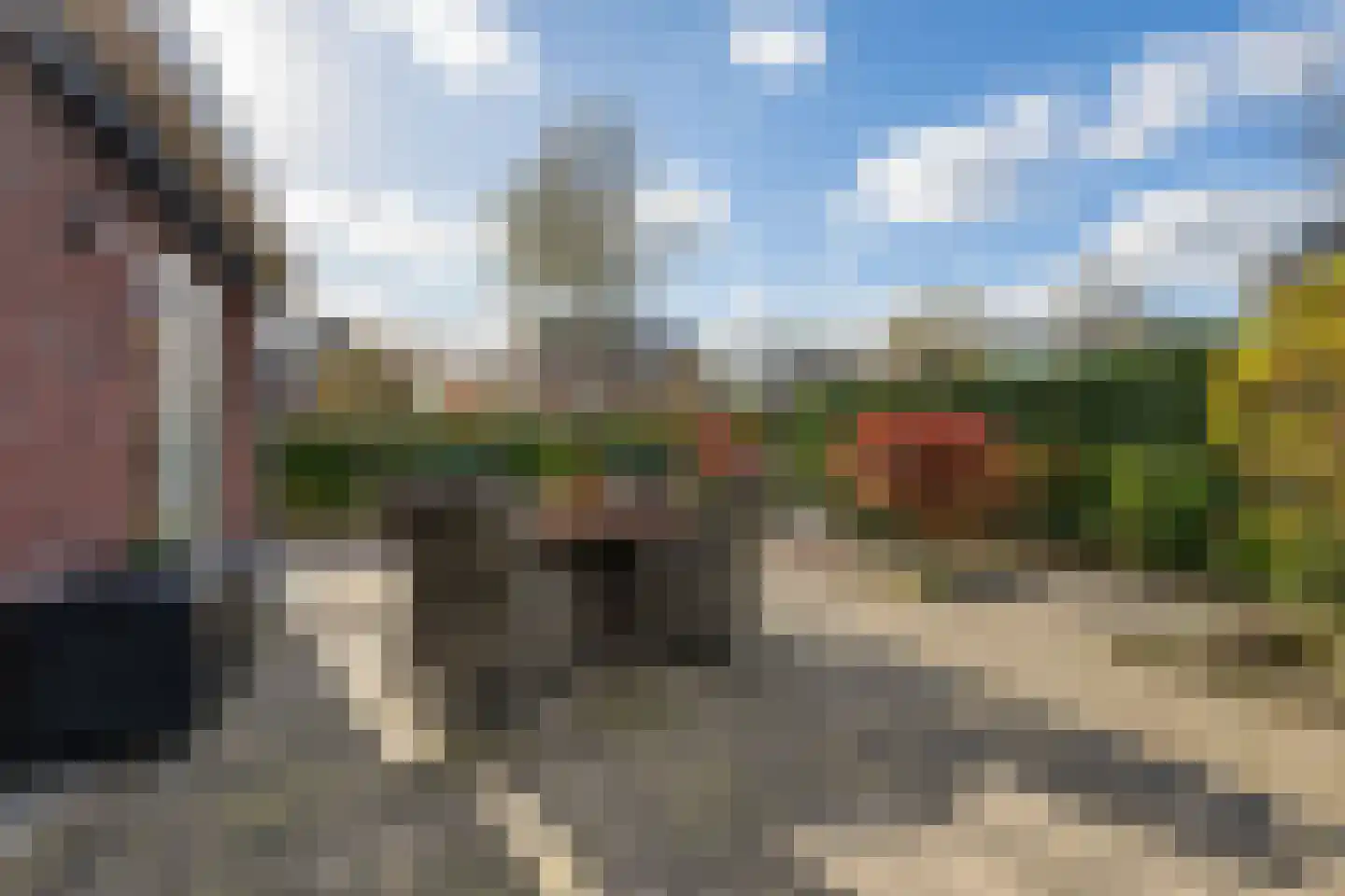 Rens Prinshof 18 Heerhugowaard thumbnail 26