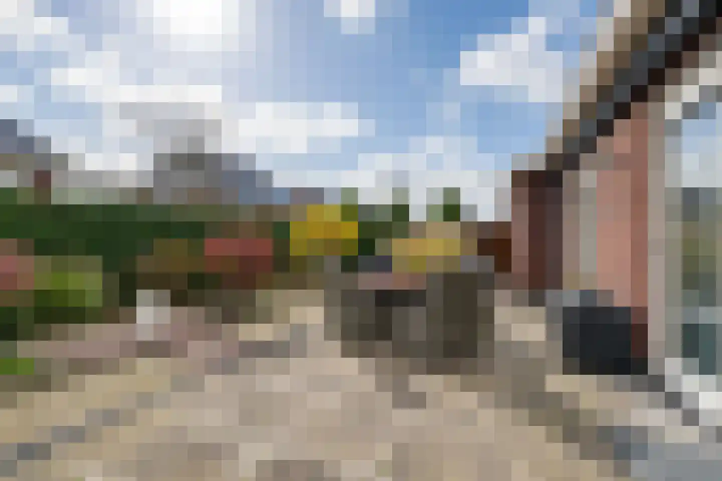 Rens Prinshof 18 Heerhugowaard thumbnail 27