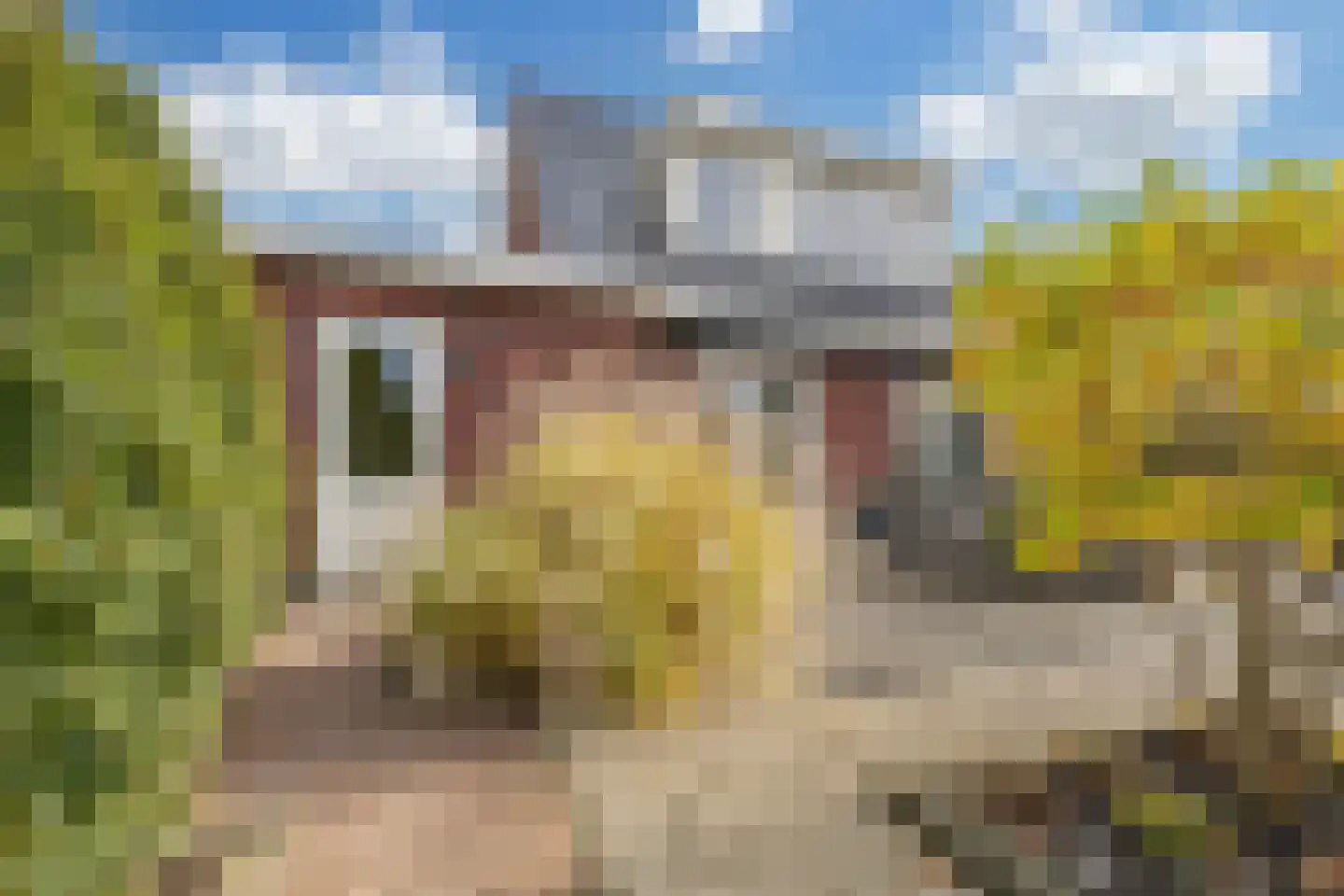 Rens Prinshof 18 Heerhugowaard thumbnail 31