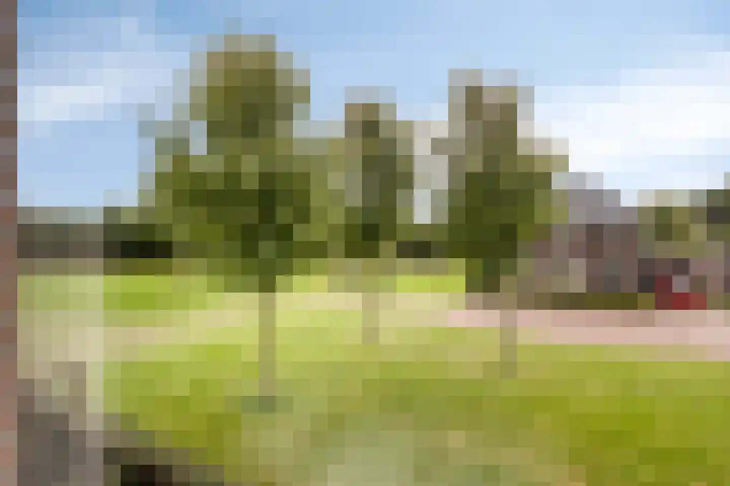 Rens Prinshof 18 Heerhugowaard thumbnail 36
