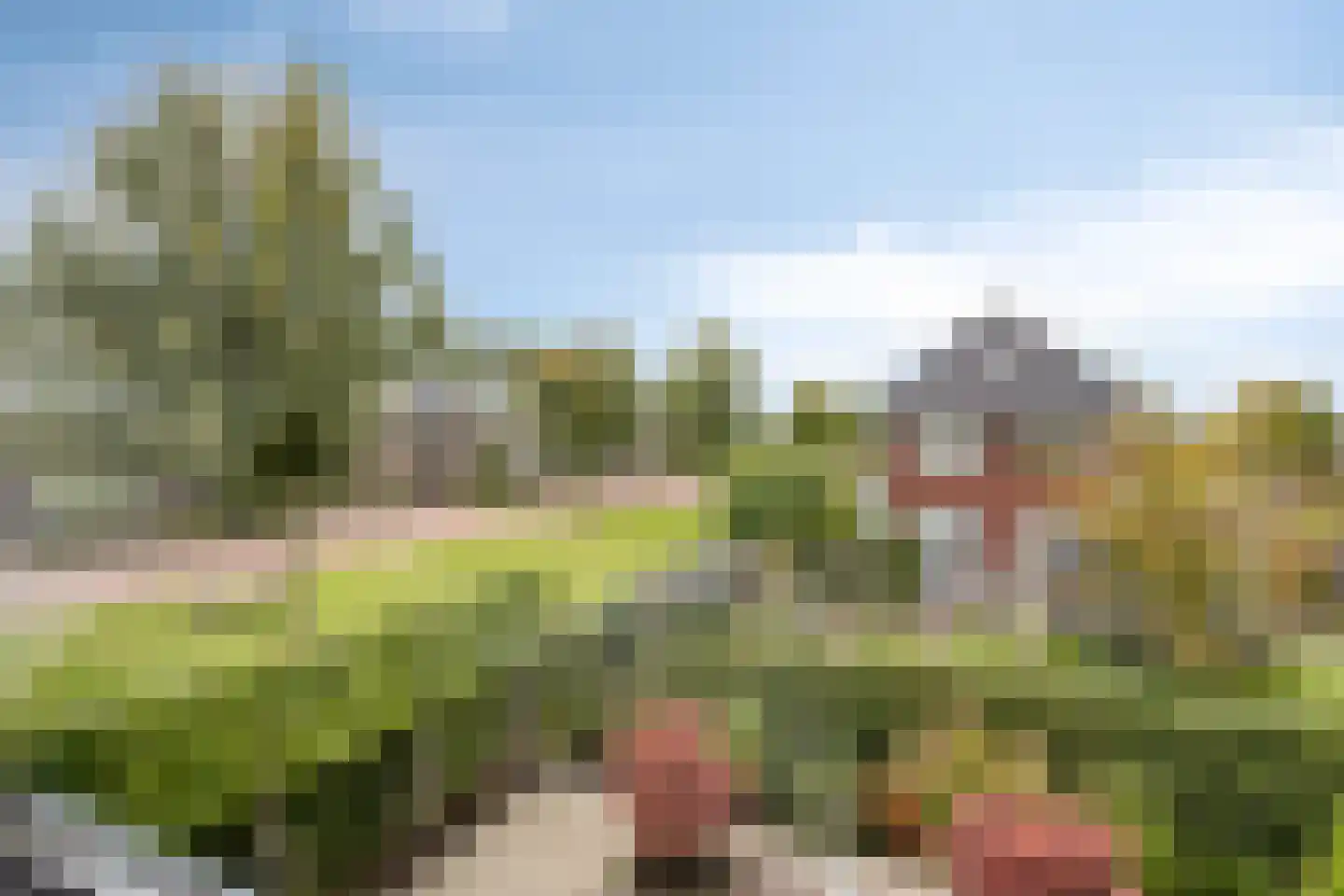 Rens Prinshof 18 Heerhugowaard thumbnail 37
