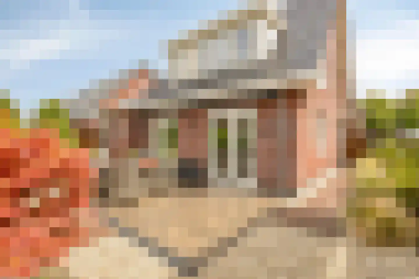 Rens Prinshof 18 Heerhugowaard thumbnail 41