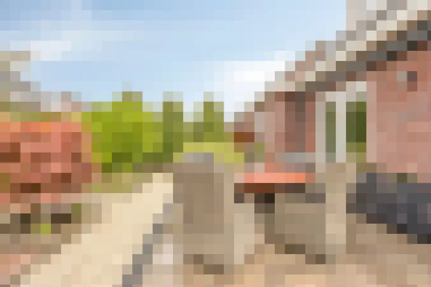 Rens Prinshof 18 Heerhugowaard thumbnail 42