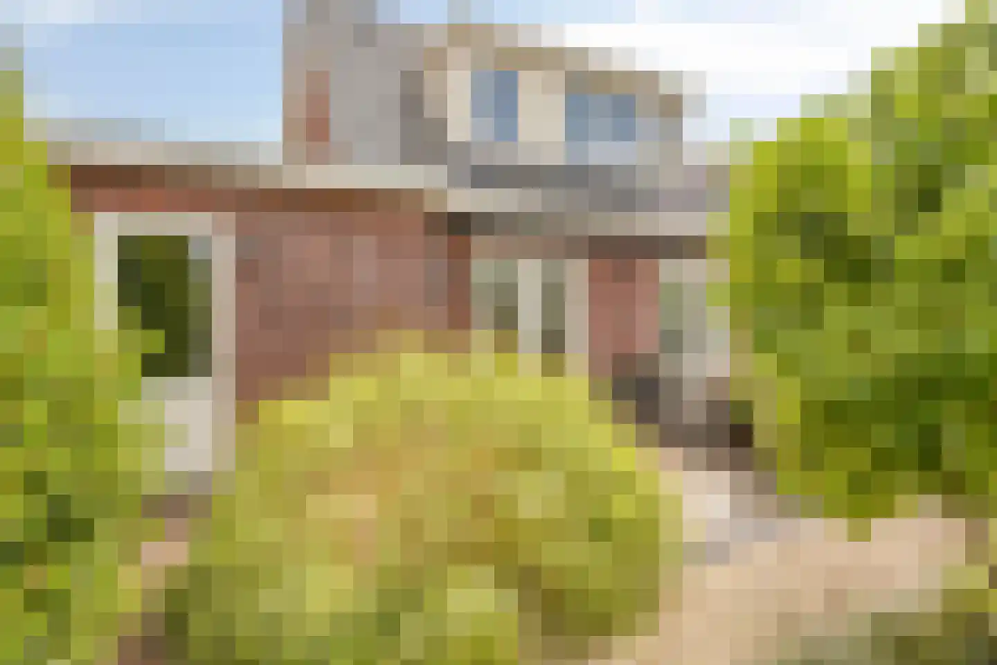 Rens Prinshof 18 Heerhugowaard thumbnail 43