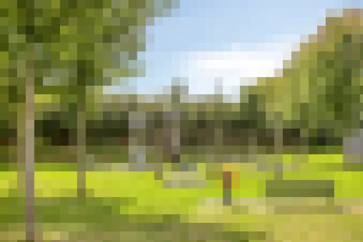 Rens Prinshof 18 Heerhugowaard thumbnail 45