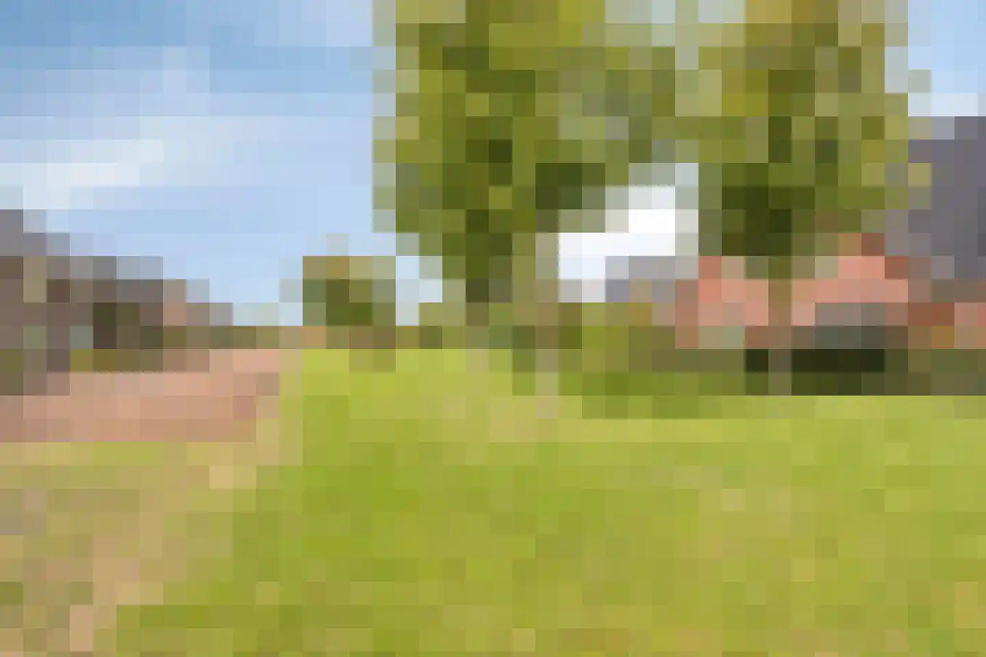 Rens Prinshof 18 Heerhugowaard thumbnail 46