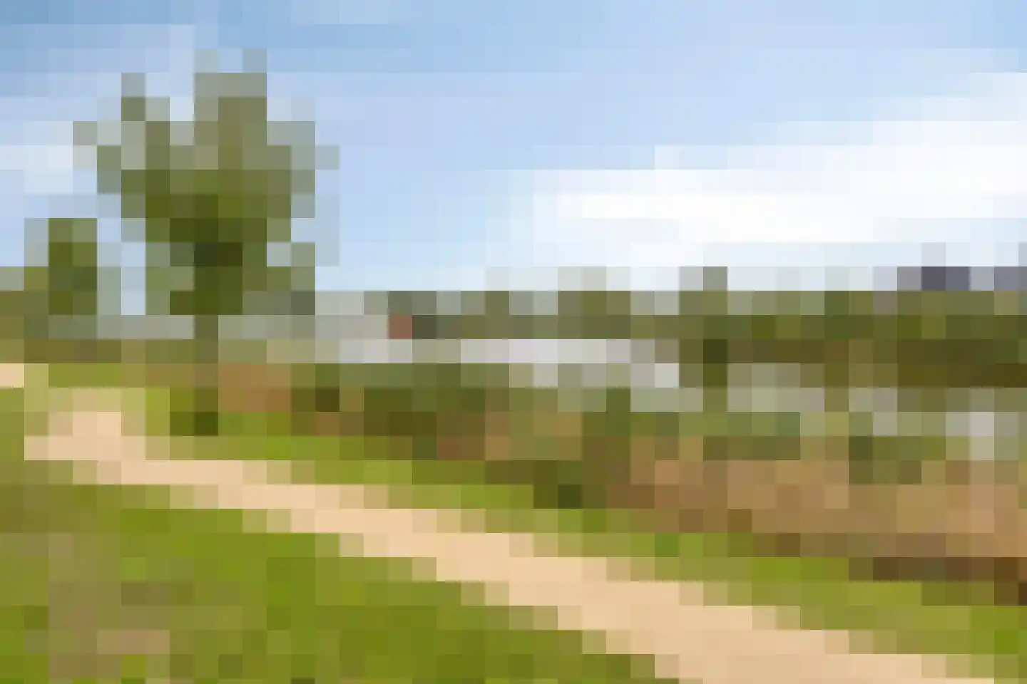 Rens Prinshof 18 Heerhugowaard thumbnail 47