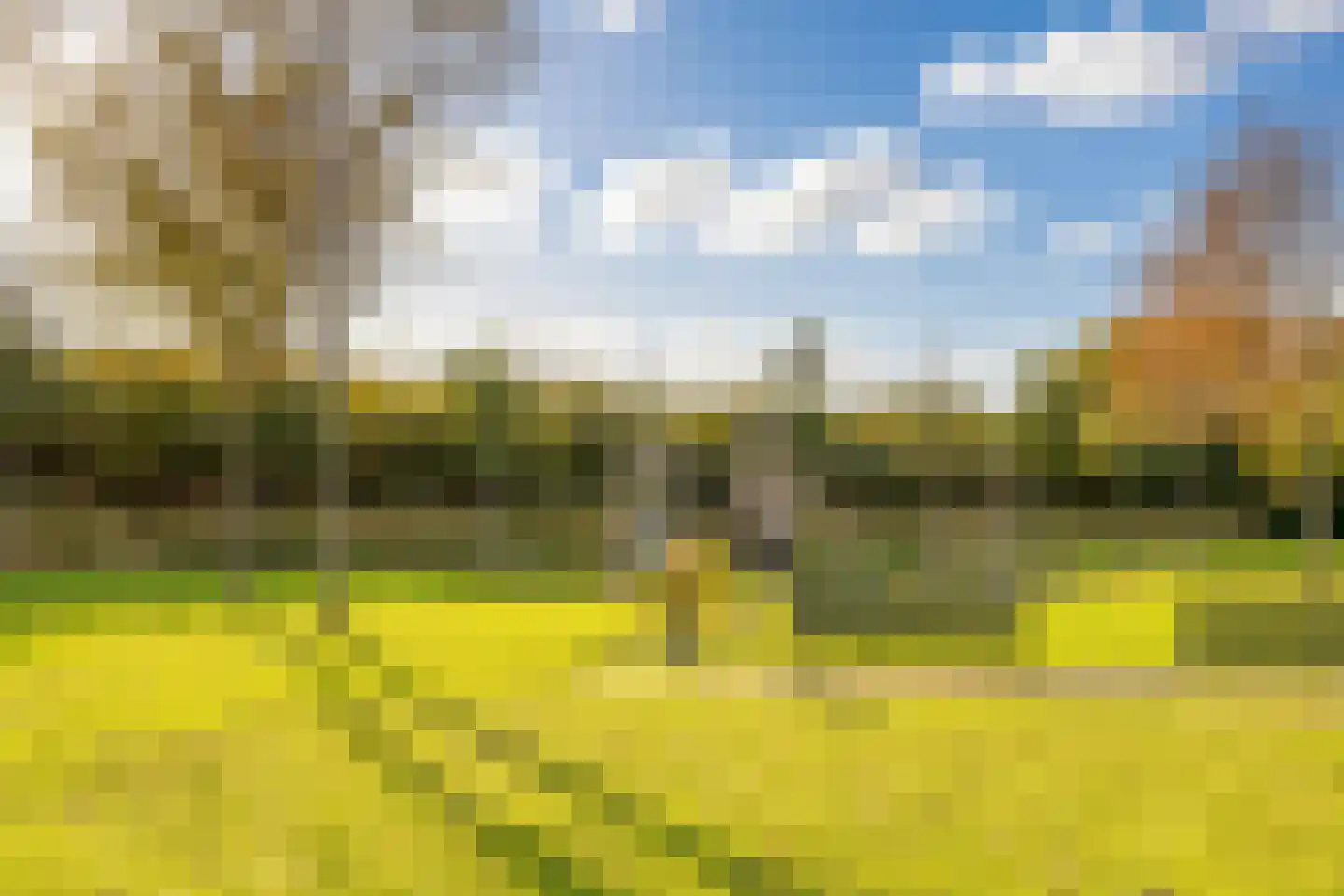 Rens Prinshof 18 Heerhugowaard thumbnail 50