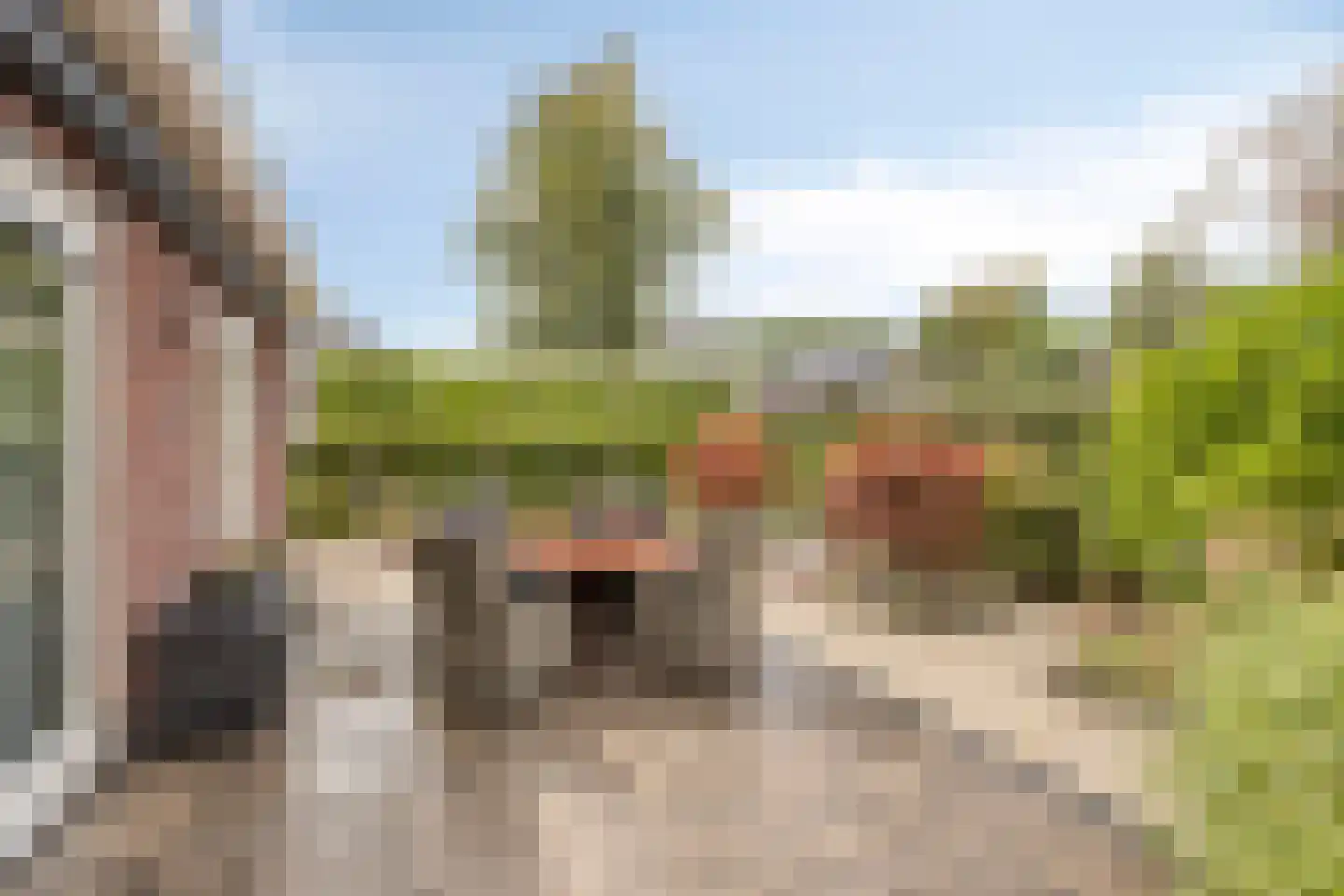 Rens Prinshof 18 Heerhugowaard thumbnail 9