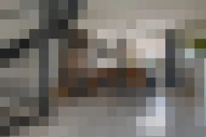 Rensel 1 Veendam thumbnail 10