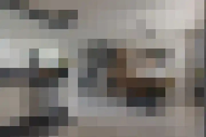 Rensel 1 Veendam thumbnail 11