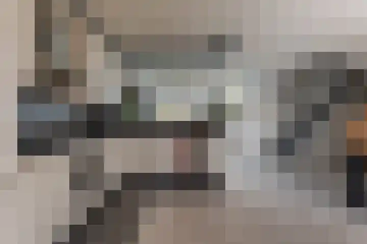 Rensel 1 Veendam thumbnail 12
