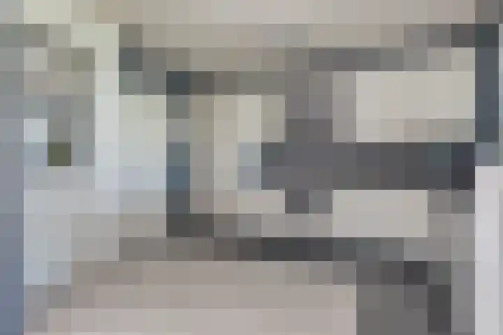 Rensel 1 Veendam thumbnail 13