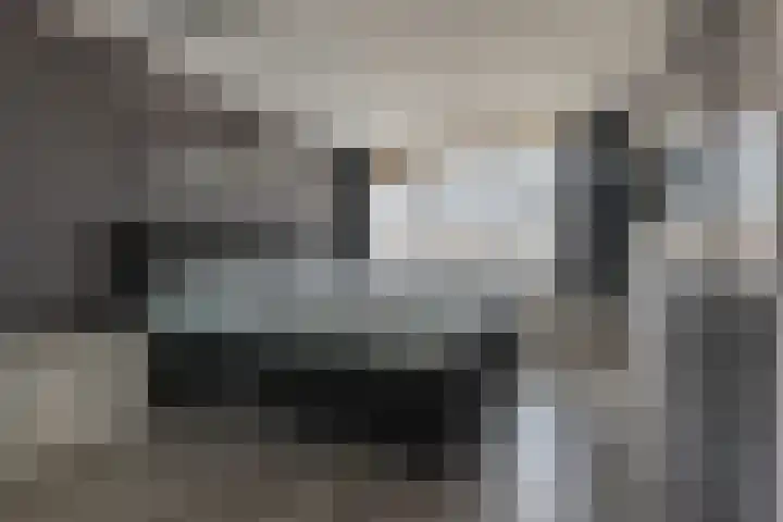 Rensel 1 Veendam thumbnail 15