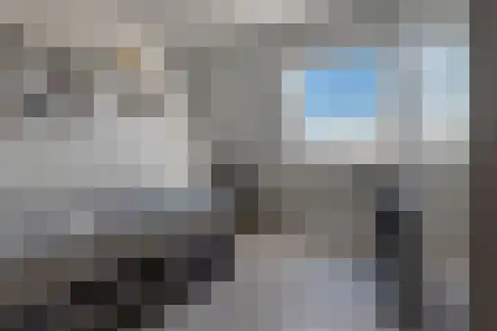 Rensel 1 Veendam thumbnail 16