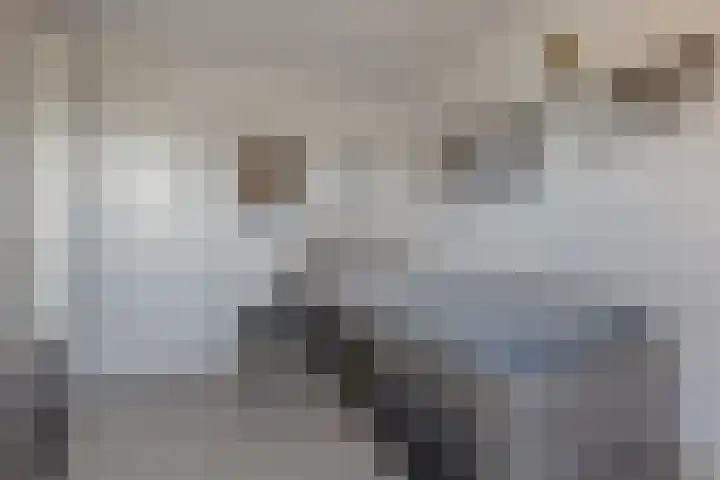Rensel 1 Veendam thumbnail 17