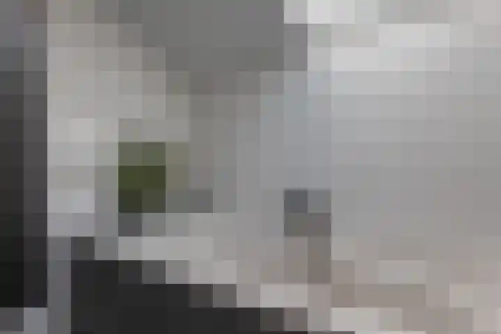 Rensel 1 Veendam thumbnail 21