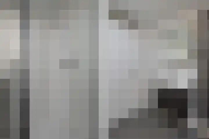 Rensel 1 Veendam thumbnail 22