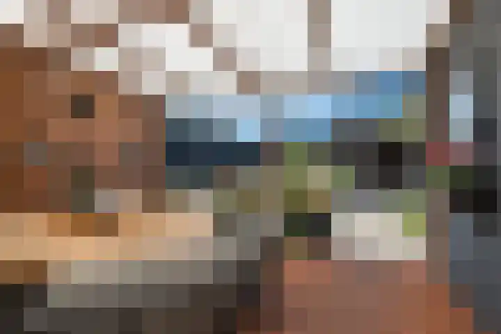 Rensel 1 Veendam thumbnail 24