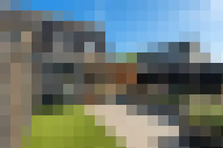 Rensel 1 Veendam thumbnail 25