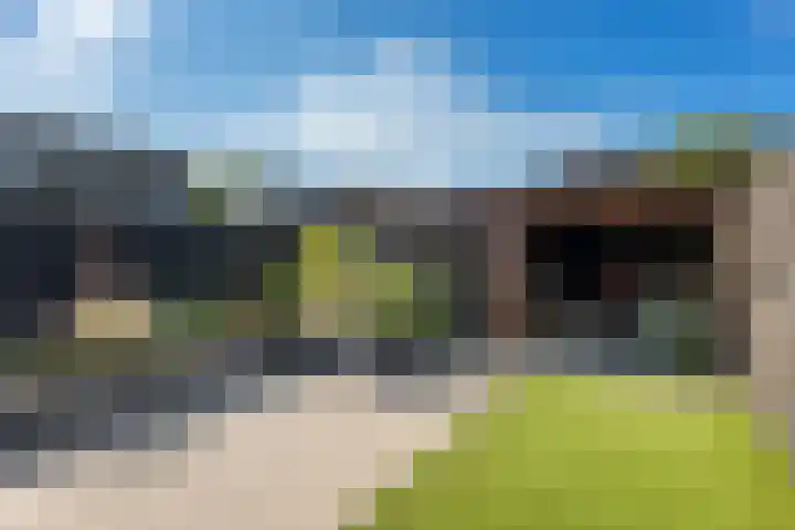 Rensel 1 Veendam thumbnail 26