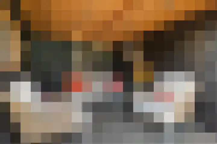 Rensel 1 Veendam thumbnail 27