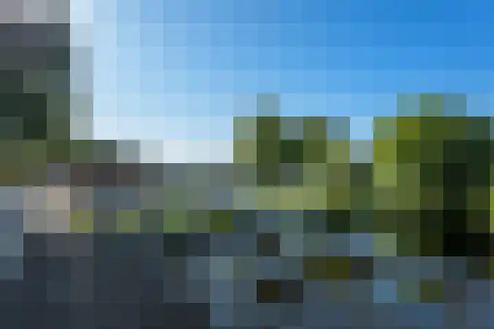 Rensel 1 Veendam thumbnail 31