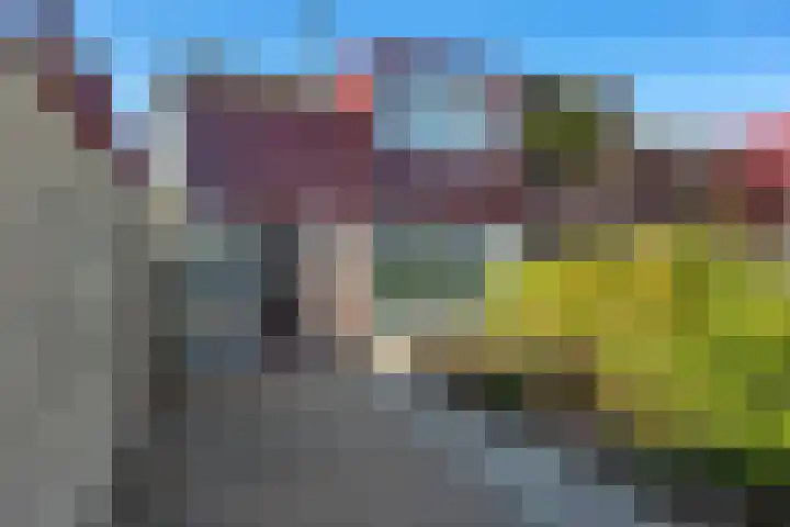 Rensel 1 Veendam thumbnail 33