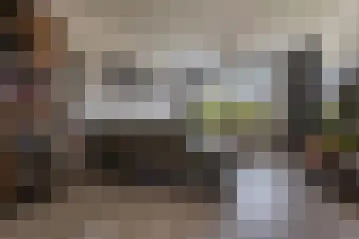 Rensel 1 Veendam thumbnail 8