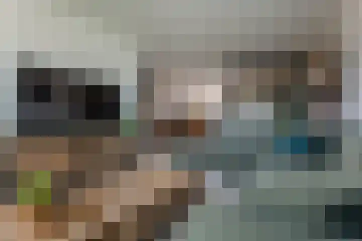 Rensel 1 Veendam thumbnail 9