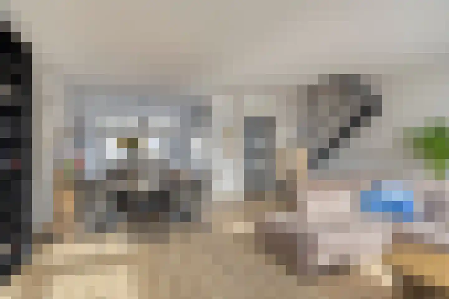 Rensel 20 Veendam thumbnail 12