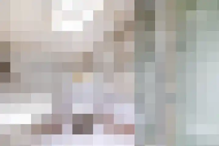 Rensel 29 Veendam thumbnail 22