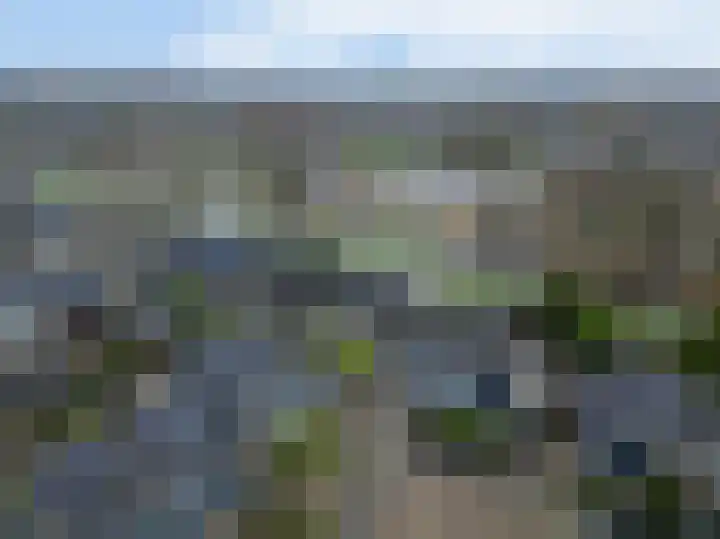 Rensel 29 Veendam thumbnail 30