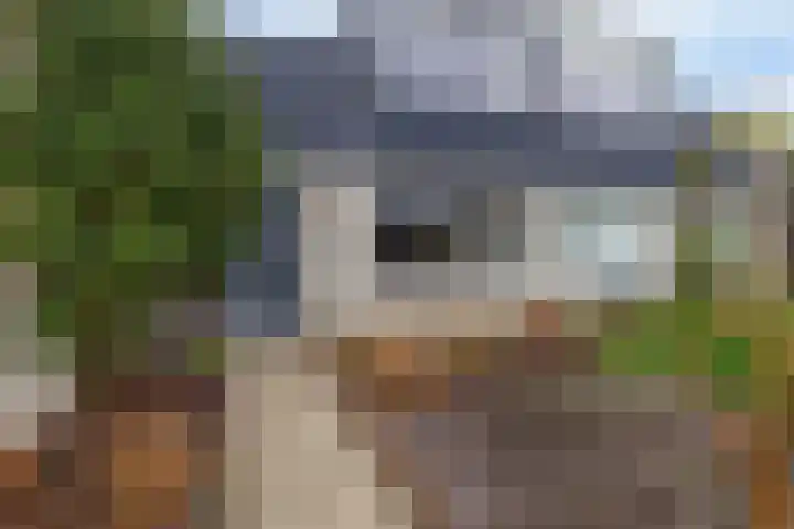 Rensel 29 Veendam thumbnail 6