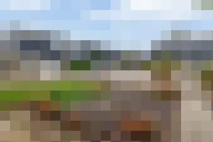 Rensel 29 Veendam thumbnail 7