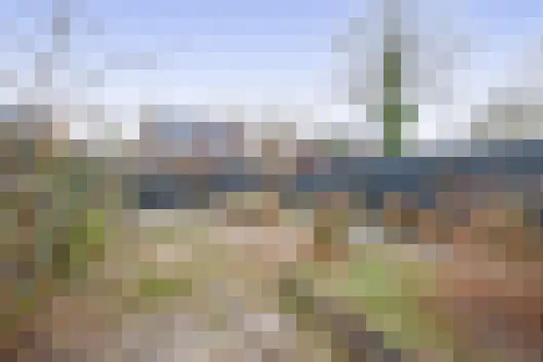 Rensel 48 Veendam thumbnail 34
