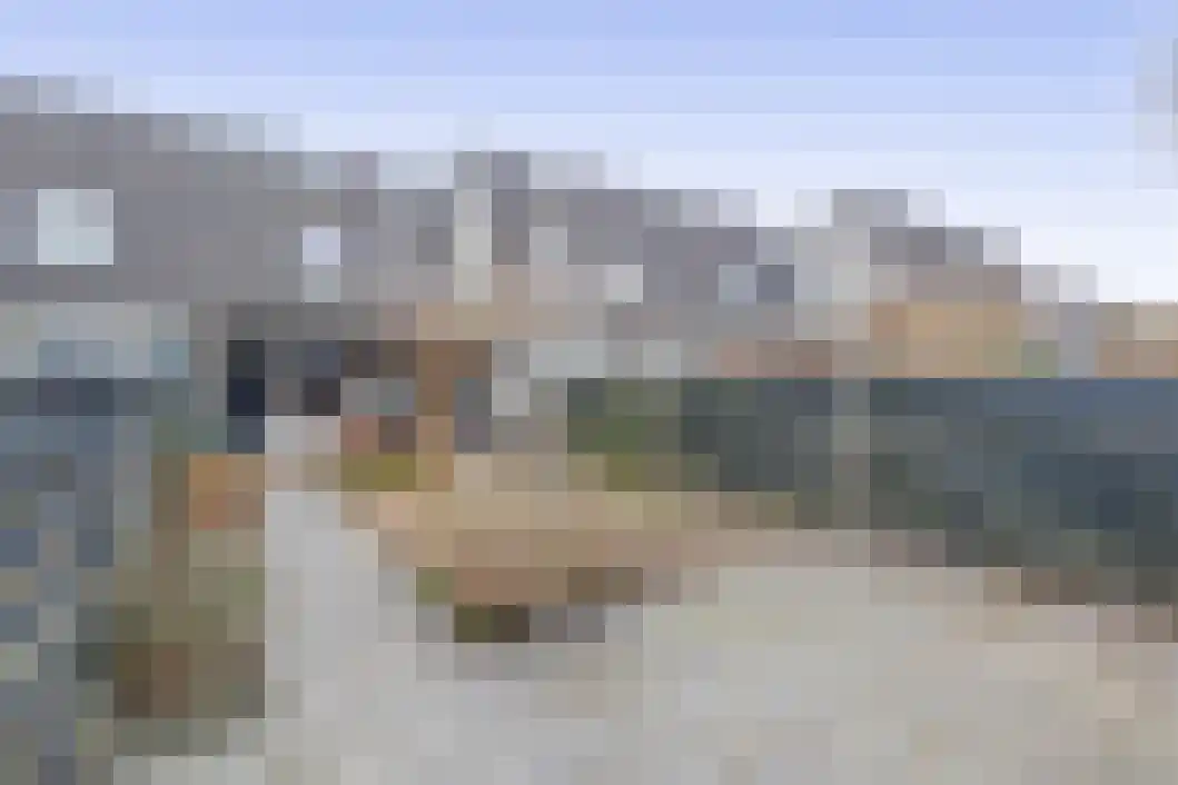 Rensel 48 Veendam thumbnail 5