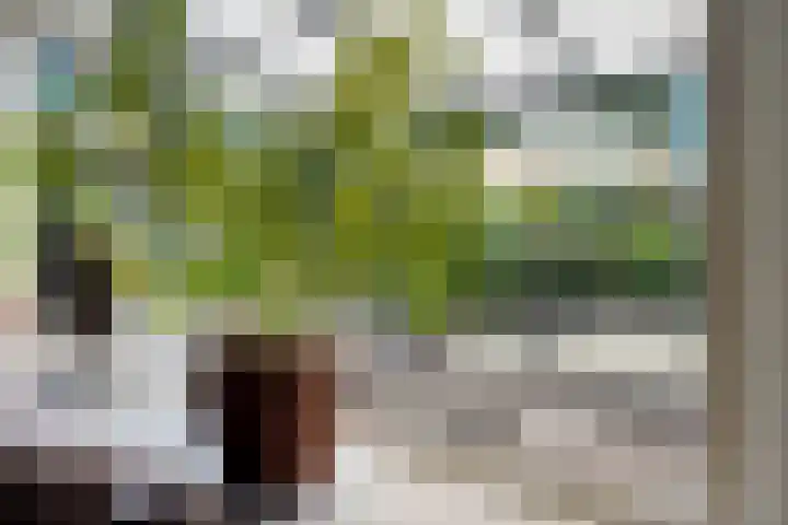 Rensel 51 Veendam thumbnail 17