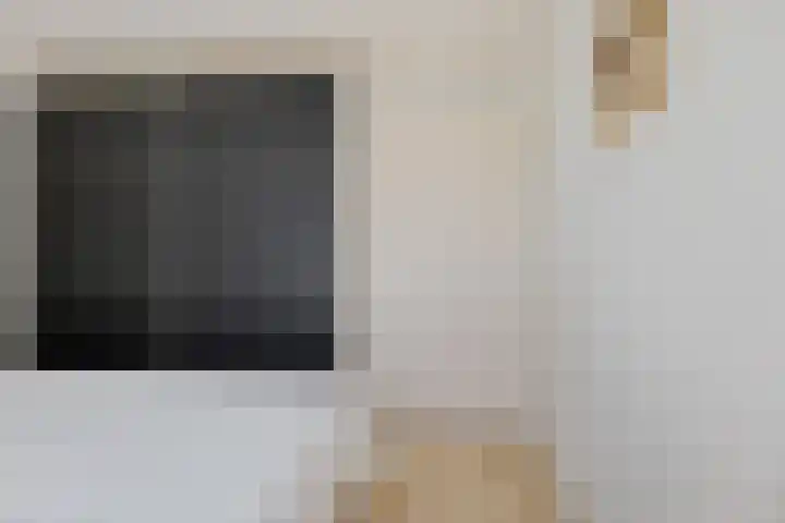 Rensel 51 Veendam thumbnail 37