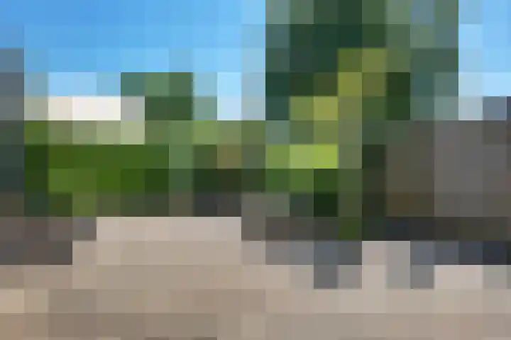 Rensel 51 Veendam thumbnail 44