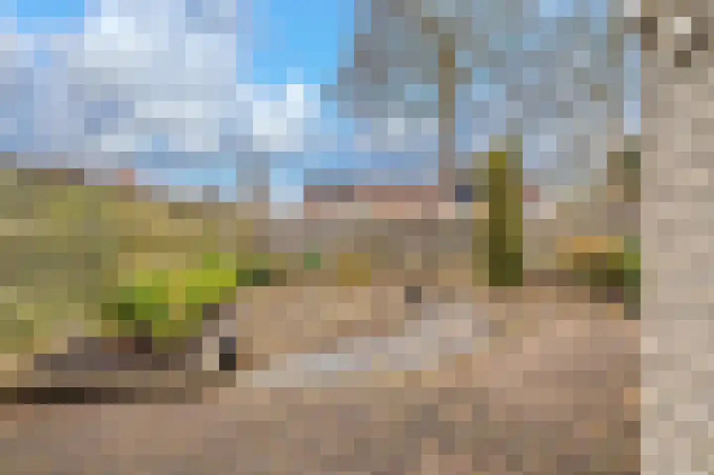 Rensel 67 Veendam thumbnail 37