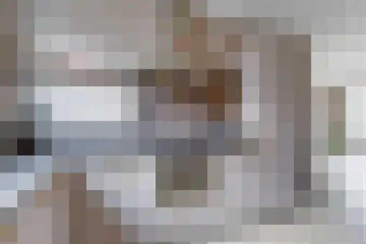 Renske Boonstraat 26 Waddinxveen thumbnail 10