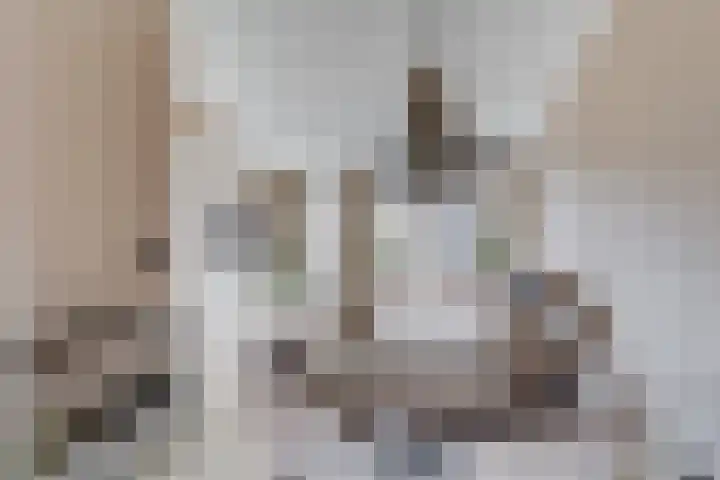 Renske Boonstraat 26 Waddinxveen thumbnail 11