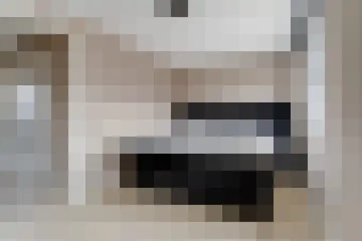 Renske Boonstraat 26 Waddinxveen thumbnail 14