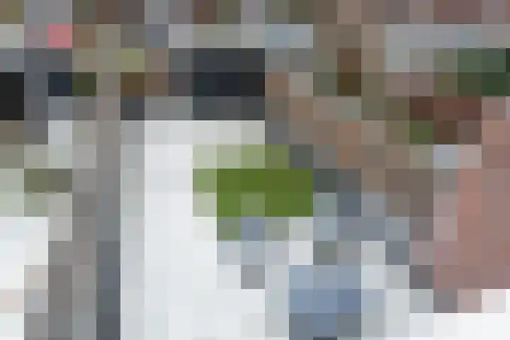 Renske Boonstraat 26 Waddinxveen thumbnail 26